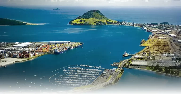 A Capital Affair – How Port of Tauranga Benefits from a Disciplined Approach to Capex
